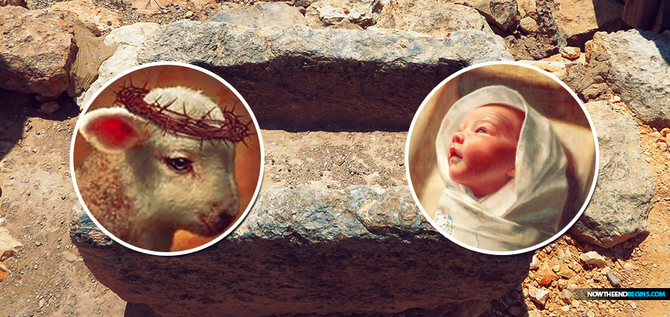 bethlehem-migdal-eder-stone-manger-baby-jesus-born-swaddling-clothes-sacrificial-lamb