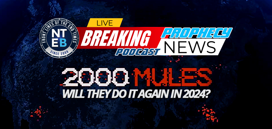 2000-mules-joe-biden-donald-trump-2020-presidential-election-voter-fraud-new-world-order