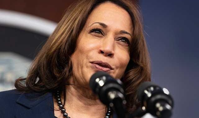kamala-stupid